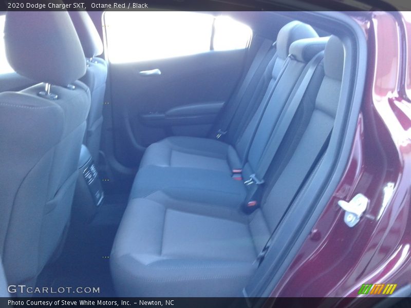 Octane Red / Black 2020 Dodge Charger SXT