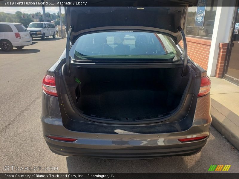 Magnetic / Ebony 2019 Ford Fusion Hybrid SE