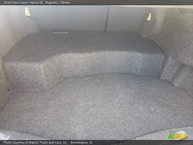 Magnetic / Ebony 2019 Ford Fusion Hybrid SE