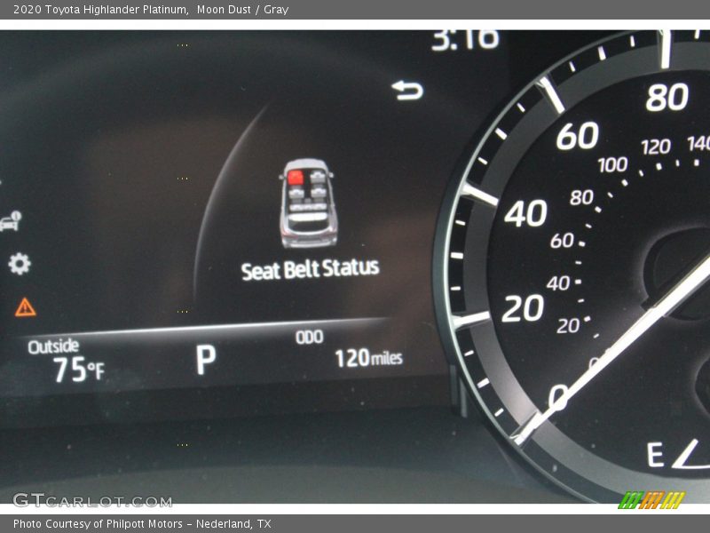 Moon Dust / Gray 2020 Toyota Highlander Platinum