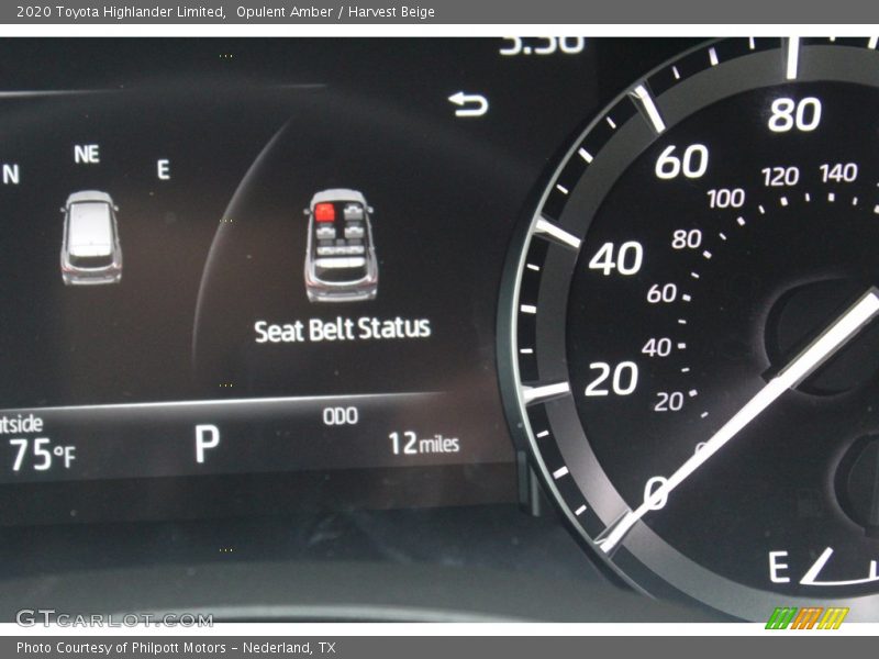 Opulent Amber / Harvest Beige 2020 Toyota Highlander Limited