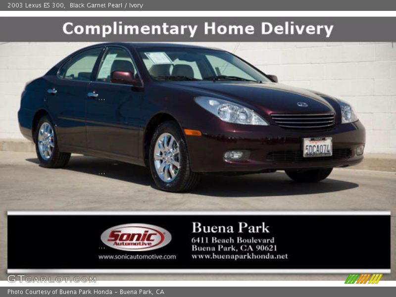 Black Garnet Pearl / Ivory 2003 Lexus ES 300
