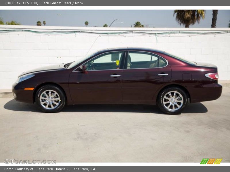 Black Garnet Pearl / Ivory 2003 Lexus ES 300