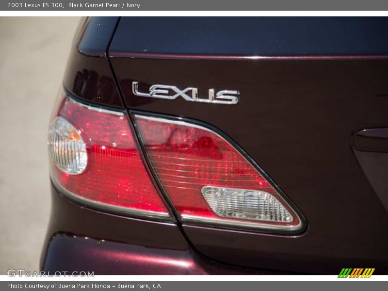 Black Garnet Pearl / Ivory 2003 Lexus ES 300