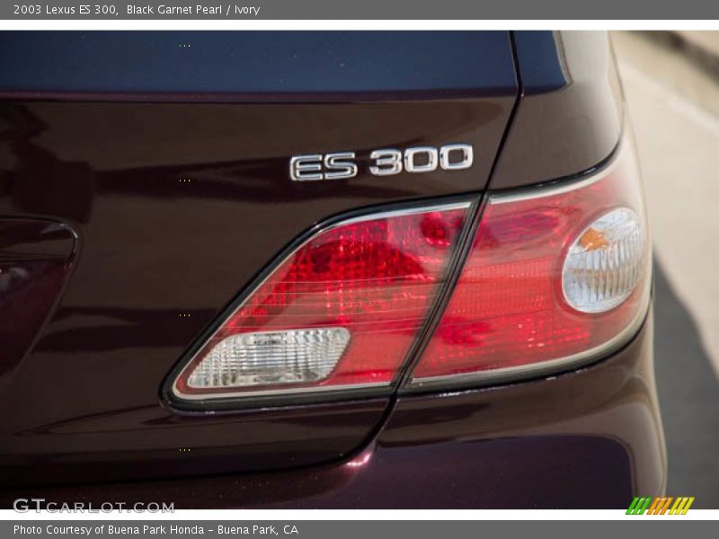 Black Garnet Pearl / Ivory 2003 Lexus ES 300