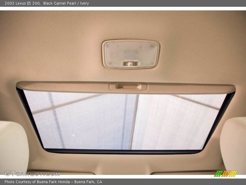 Black Garnet Pearl / Ivory 2003 Lexus ES 300