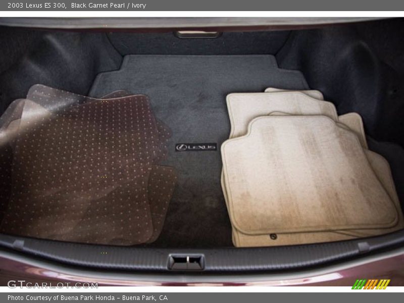 Black Garnet Pearl / Ivory 2003 Lexus ES 300