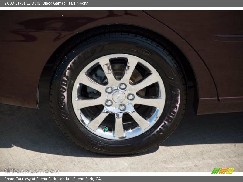 Black Garnet Pearl / Ivory 2003 Lexus ES 300