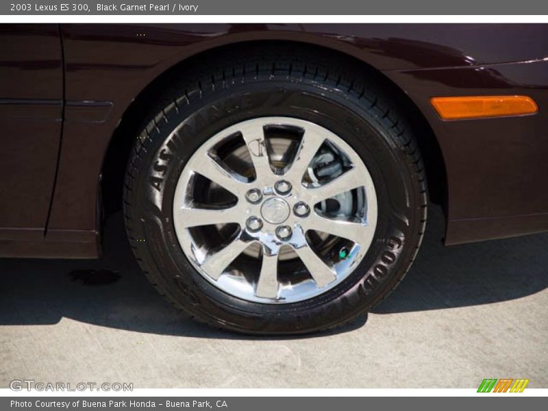 Black Garnet Pearl / Ivory 2003 Lexus ES 300