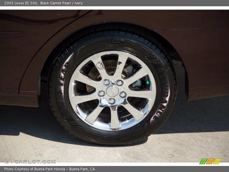 Black Garnet Pearl / Ivory 2003 Lexus ES 300