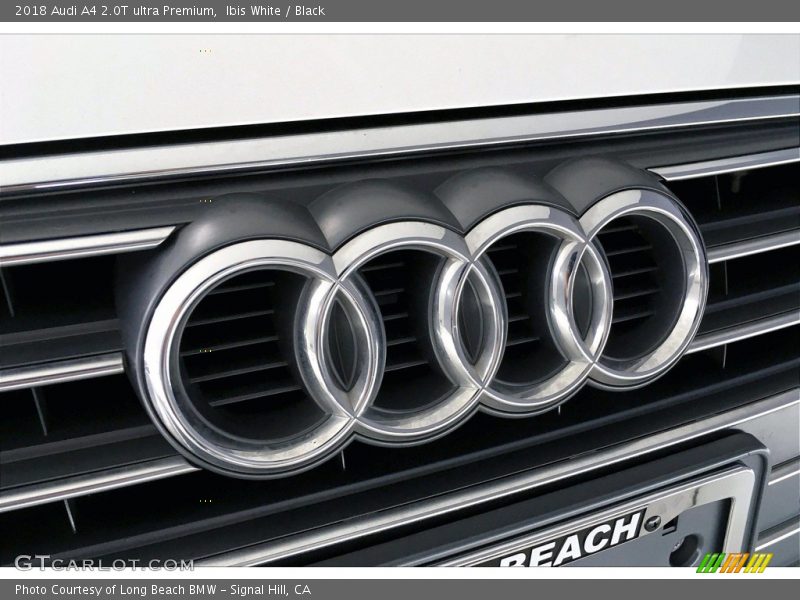 Ibis White / Black 2018 Audi A4 2.0T ultra Premium