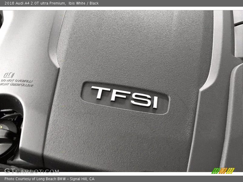 Ibis White / Black 2018 Audi A4 2.0T ultra Premium