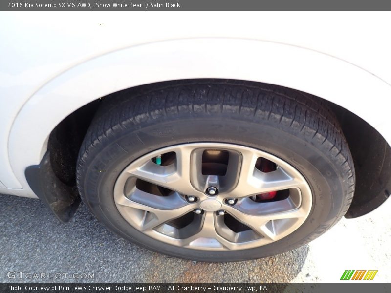 Snow White Pearl / Satin Black 2016 Kia Sorento SX V6 AWD