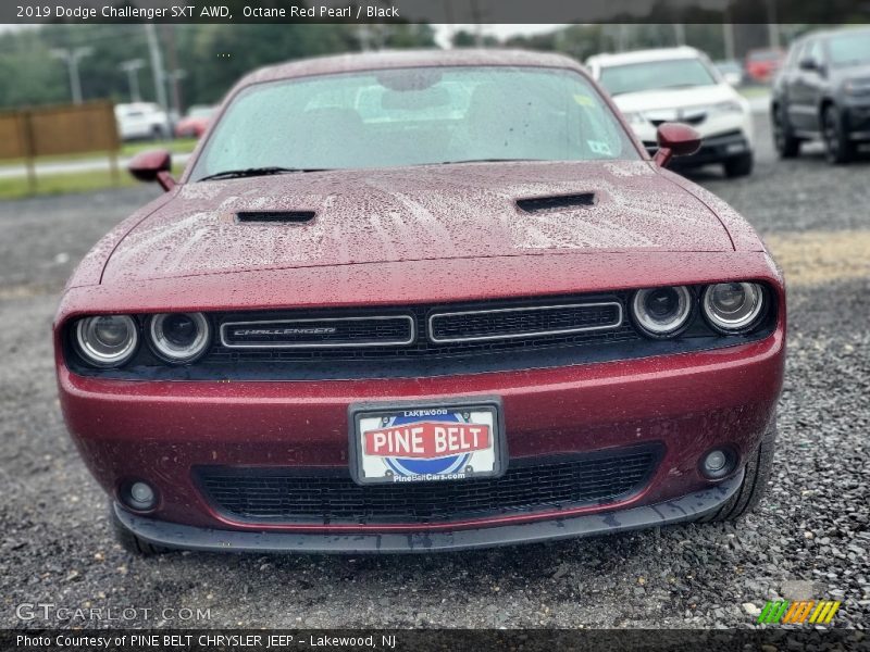 Octane Red Pearl / Black 2019 Dodge Challenger SXT AWD