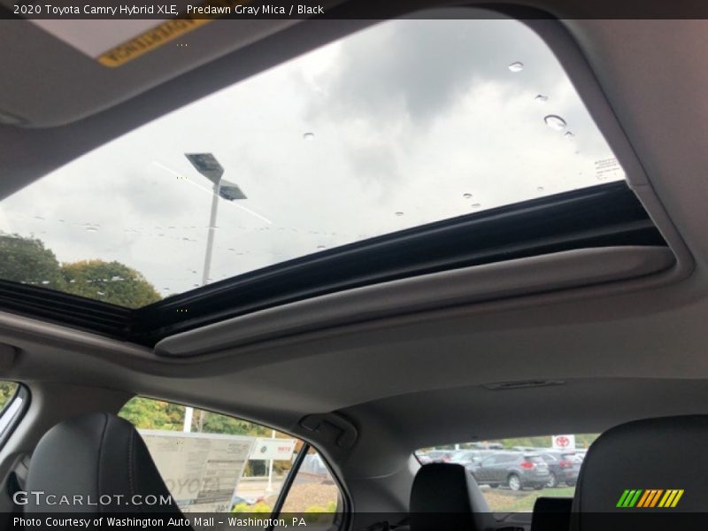 Predawn Gray Mica / Black 2020 Toyota Camry Hybrid XLE