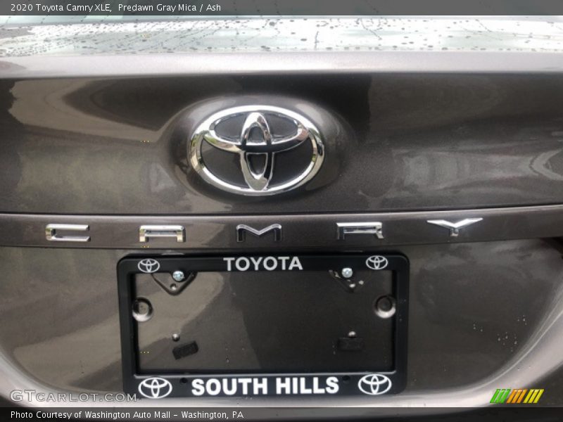 Predawn Gray Mica / Ash 2020 Toyota Camry XLE