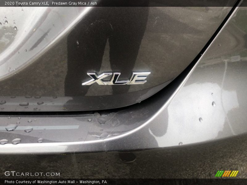 Predawn Gray Mica / Ash 2020 Toyota Camry XLE