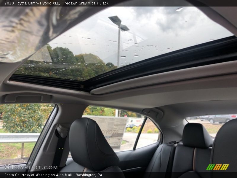 Predawn Gray Mica / Black 2020 Toyota Camry Hybrid XLE