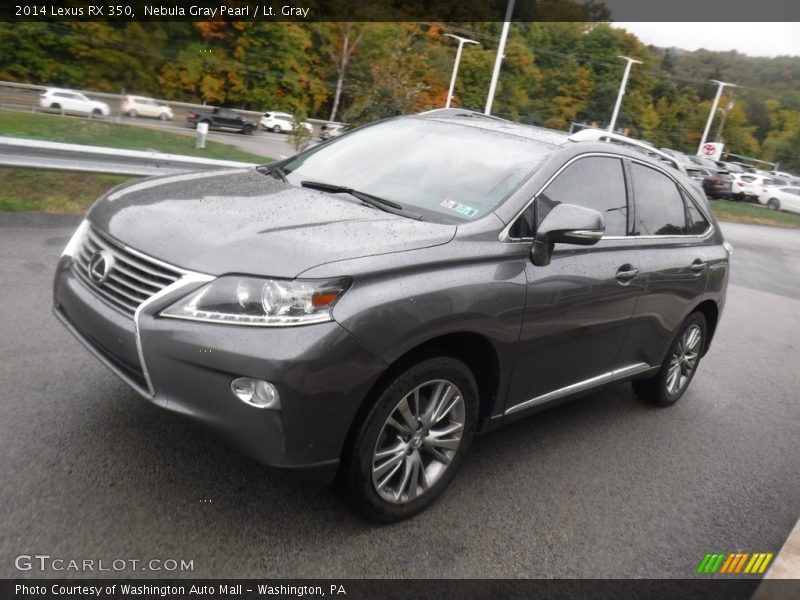 Nebula Gray Pearl / Lt. Gray 2014 Lexus RX 350