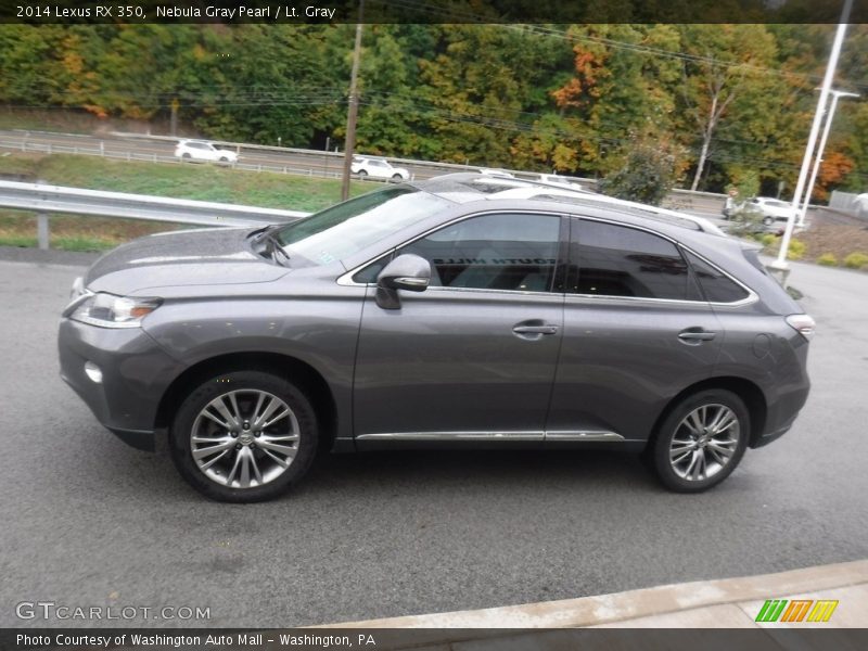 Nebula Gray Pearl / Lt. Gray 2014 Lexus RX 350