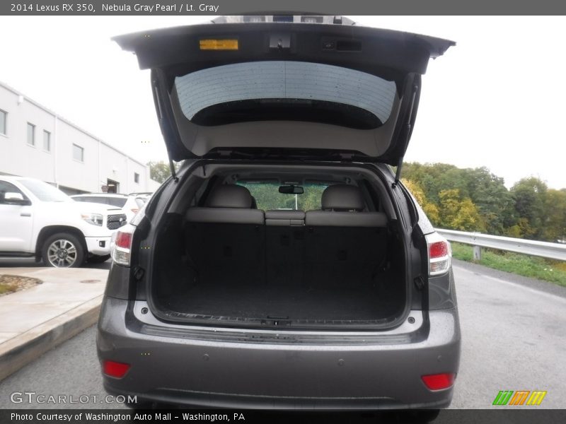 Nebula Gray Pearl / Lt. Gray 2014 Lexus RX 350