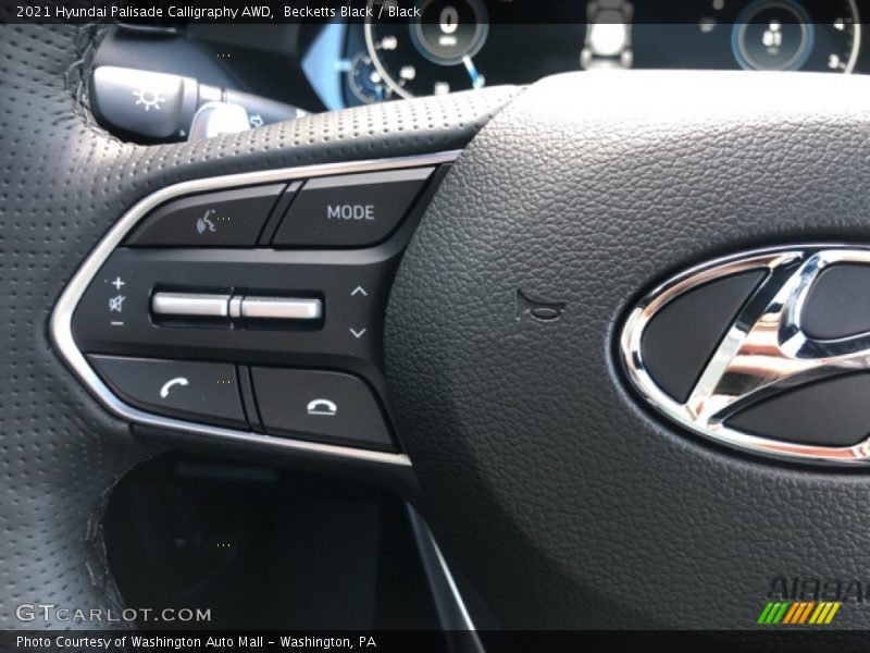 Becketts Black / Black 2021 Hyundai Palisade Calligraphy AWD
