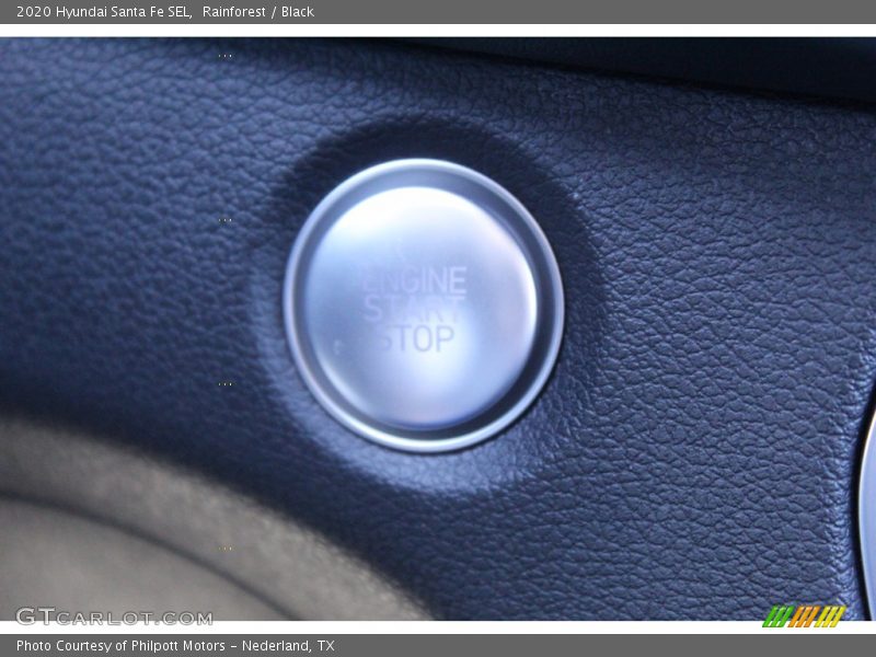 Rainforest / Black 2020 Hyundai Santa Fe SEL