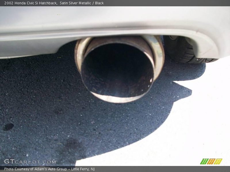 Satin Silver Metallic / Black 2002 Honda Civic Si Hatchback