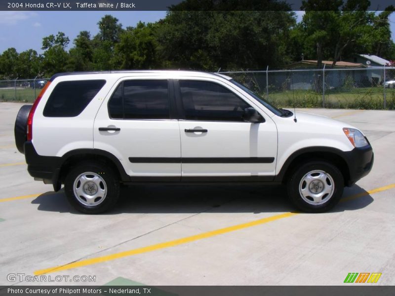 Taffeta White / Black 2004 Honda CR-V LX