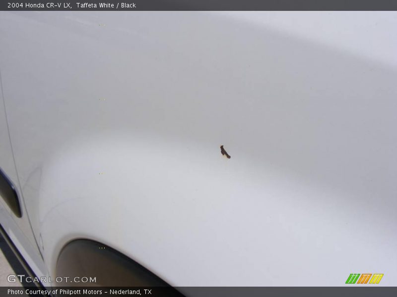 Taffeta White / Black 2004 Honda CR-V LX