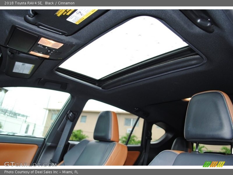 Black / Cinnamon 2018 Toyota RAV4 SE