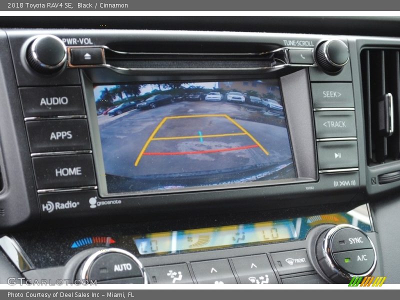 Black / Cinnamon 2018 Toyota RAV4 SE
