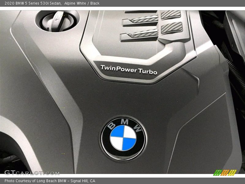 Alpine White / Black 2020 BMW 5 Series 530i Sedan