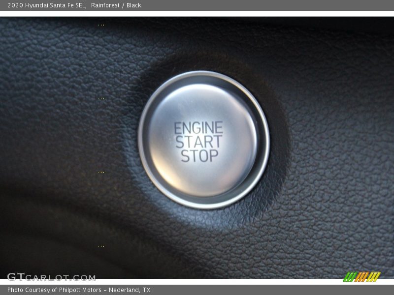 Rainforest / Black 2020 Hyundai Santa Fe SEL