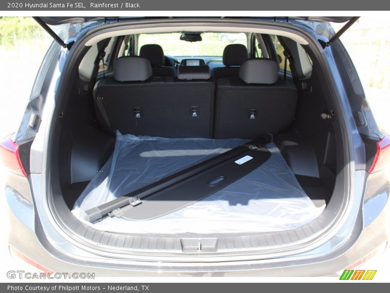 Rainforest / Black 2020 Hyundai Santa Fe SEL