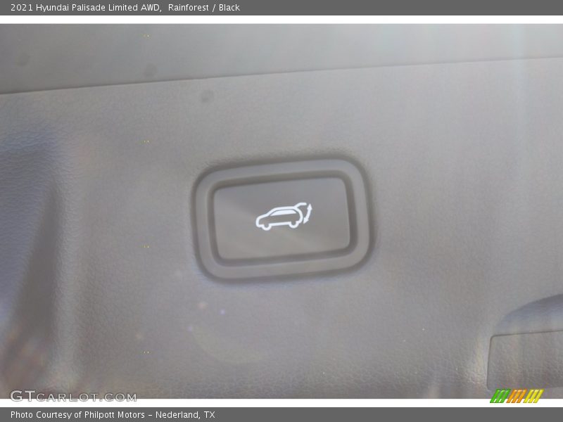 Rainforest / Black 2021 Hyundai Palisade Limited AWD