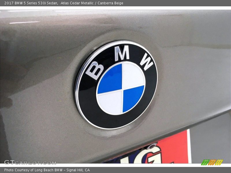 Atlas Cedar Metallic / Canberra Beige 2017 BMW 5 Series 530i Sedan