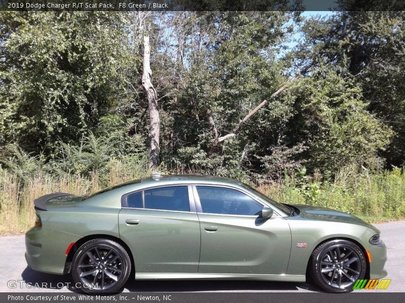 F8 Green / Black 2019 Dodge Charger R/T Scat Pack