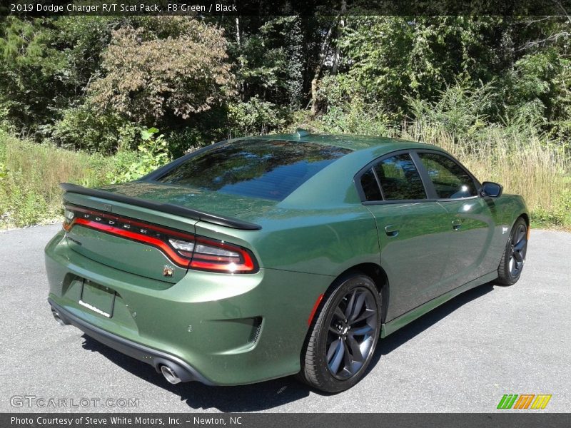 F8 Green / Black 2019 Dodge Charger R/T Scat Pack