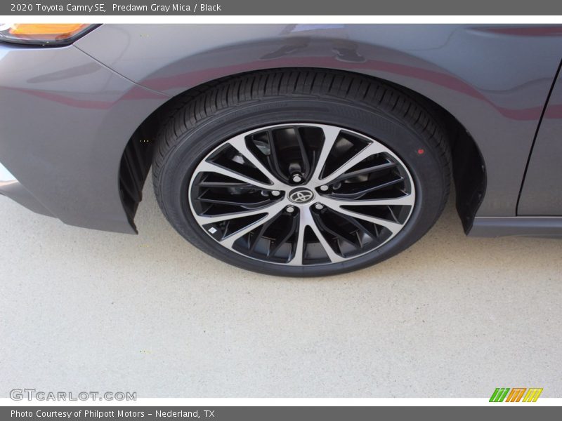 Predawn Gray Mica / Black 2020 Toyota Camry SE