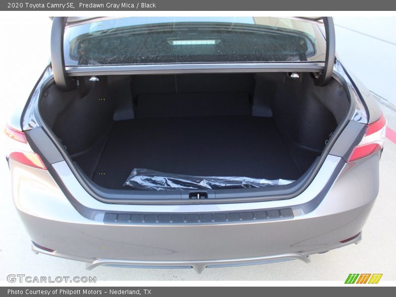 Predawn Gray Mica / Black 2020 Toyota Camry SE