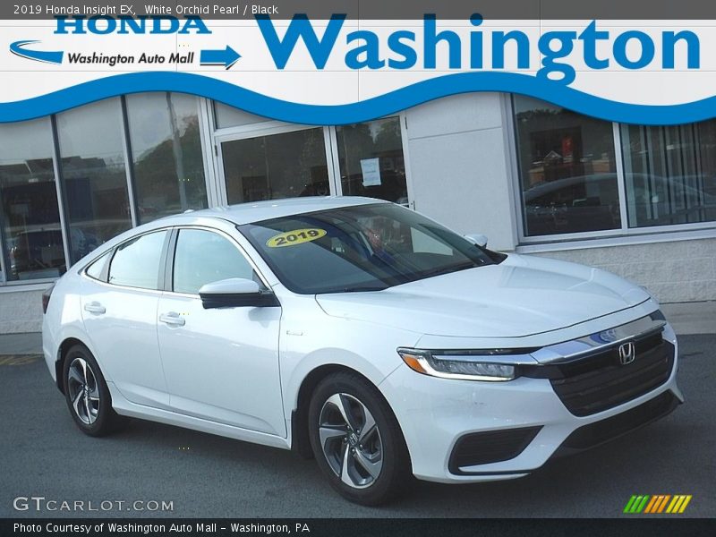 White Orchid Pearl / Black 2019 Honda Insight EX