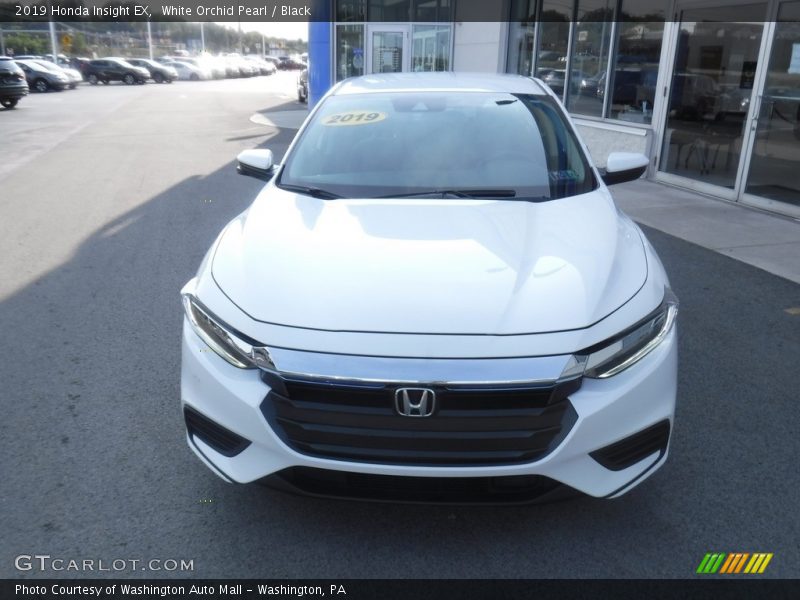 White Orchid Pearl / Black 2019 Honda Insight EX