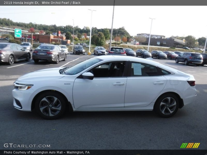 White Orchid Pearl / Black 2019 Honda Insight EX