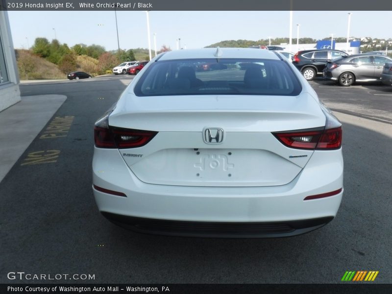 White Orchid Pearl / Black 2019 Honda Insight EX