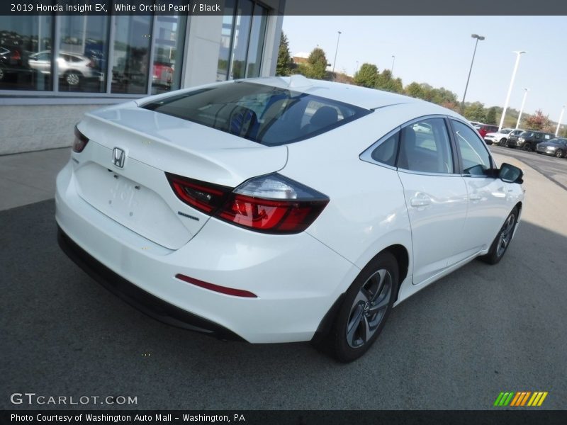 White Orchid Pearl / Black 2019 Honda Insight EX