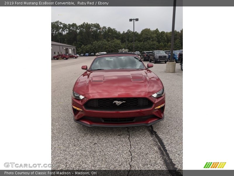 Ruby Red / Ebony 2019 Ford Mustang EcoBoost Convertible
