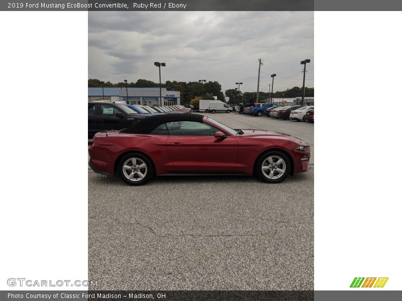 Ruby Red / Ebony 2019 Ford Mustang EcoBoost Convertible