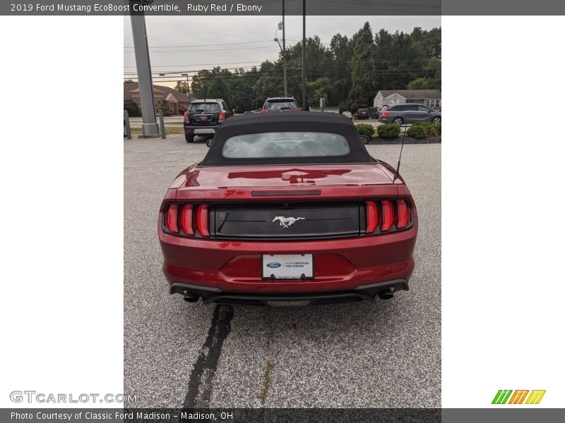 Ruby Red / Ebony 2019 Ford Mustang EcoBoost Convertible