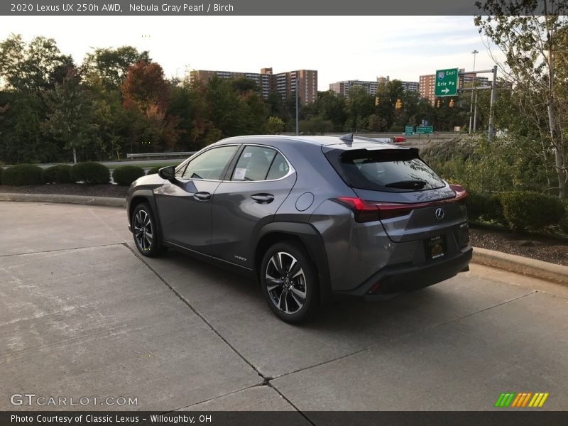 Nebula Gray Pearl / Birch 2020 Lexus UX 250h AWD